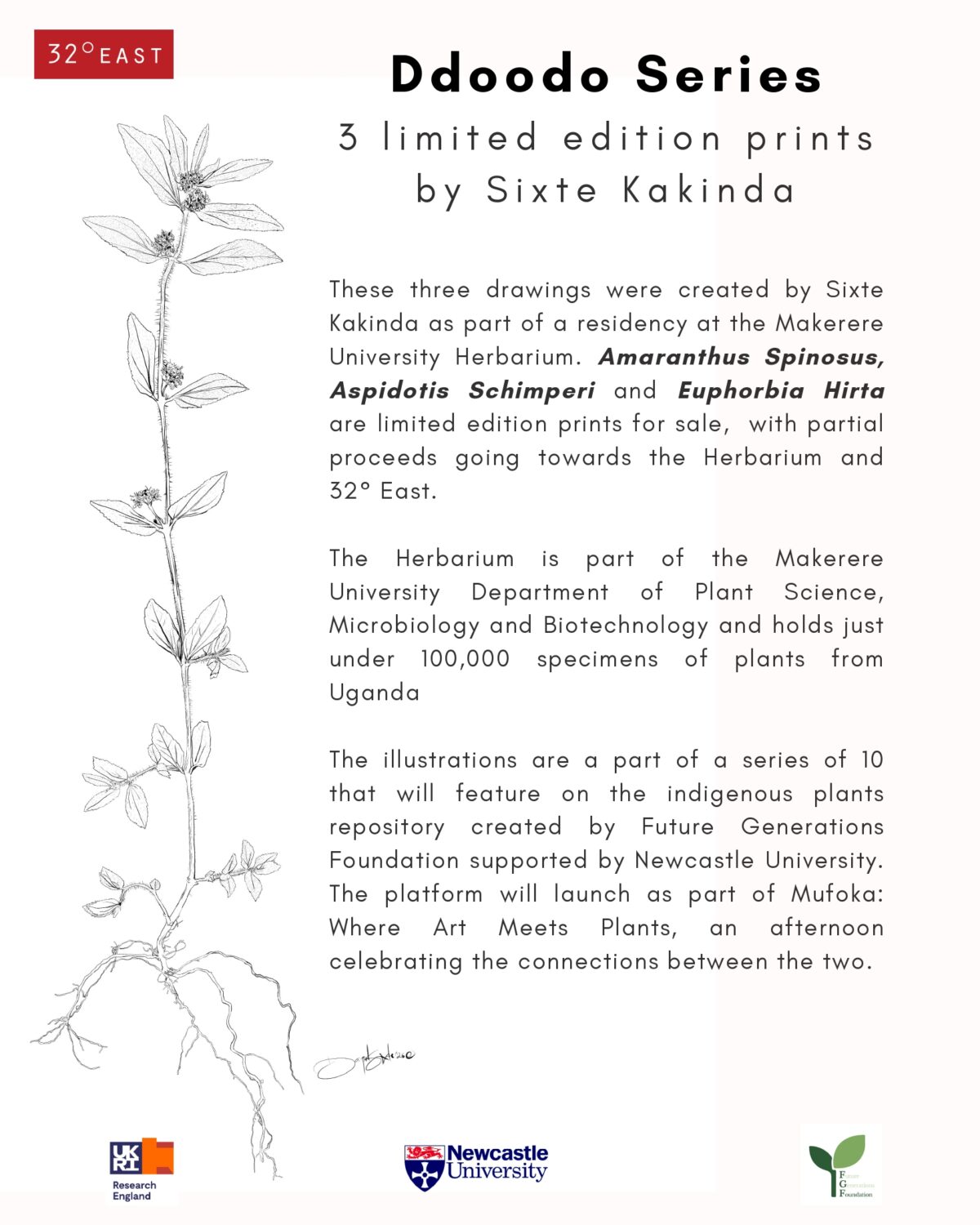 Aspidotis Schimperi- limited edition prints by Sixte Kakinda - Image 2